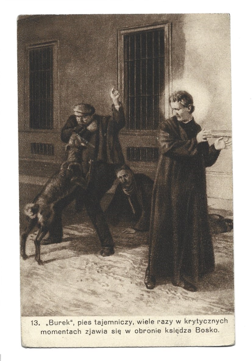 Pocztówka-cegiełka - "Burek", pies tajemniczy, wiele razy w krytycznych momentach zjawia się w obronie księdza Bosko (Jan Bosko)