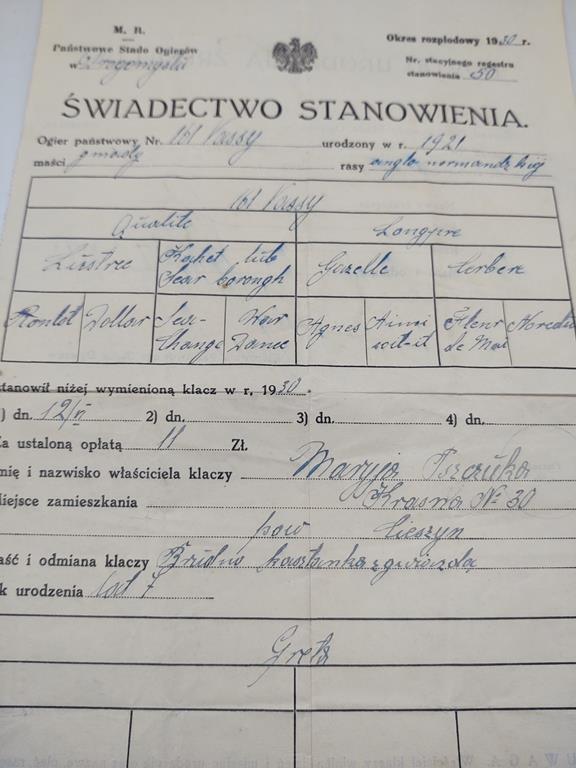 Świadectwo Stanowienia - Państwowe Stado Ogierów, Drogomyśl, 1930 r.