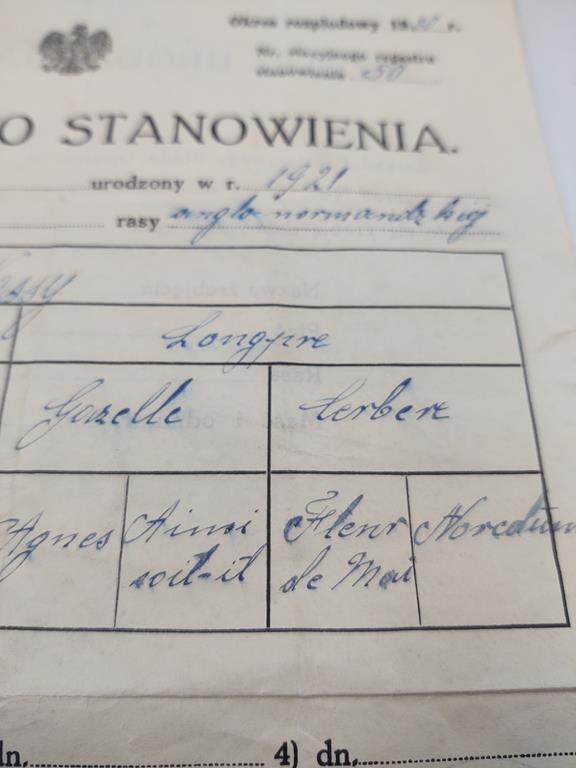 Świadectwo Stanowienia - Państwowe Stado Ogierów, Drogomyśl, 1930 r.