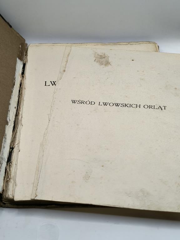 Książka "Wśród Lwowskich Orląt" Wacław Lipiński, 1931 r.