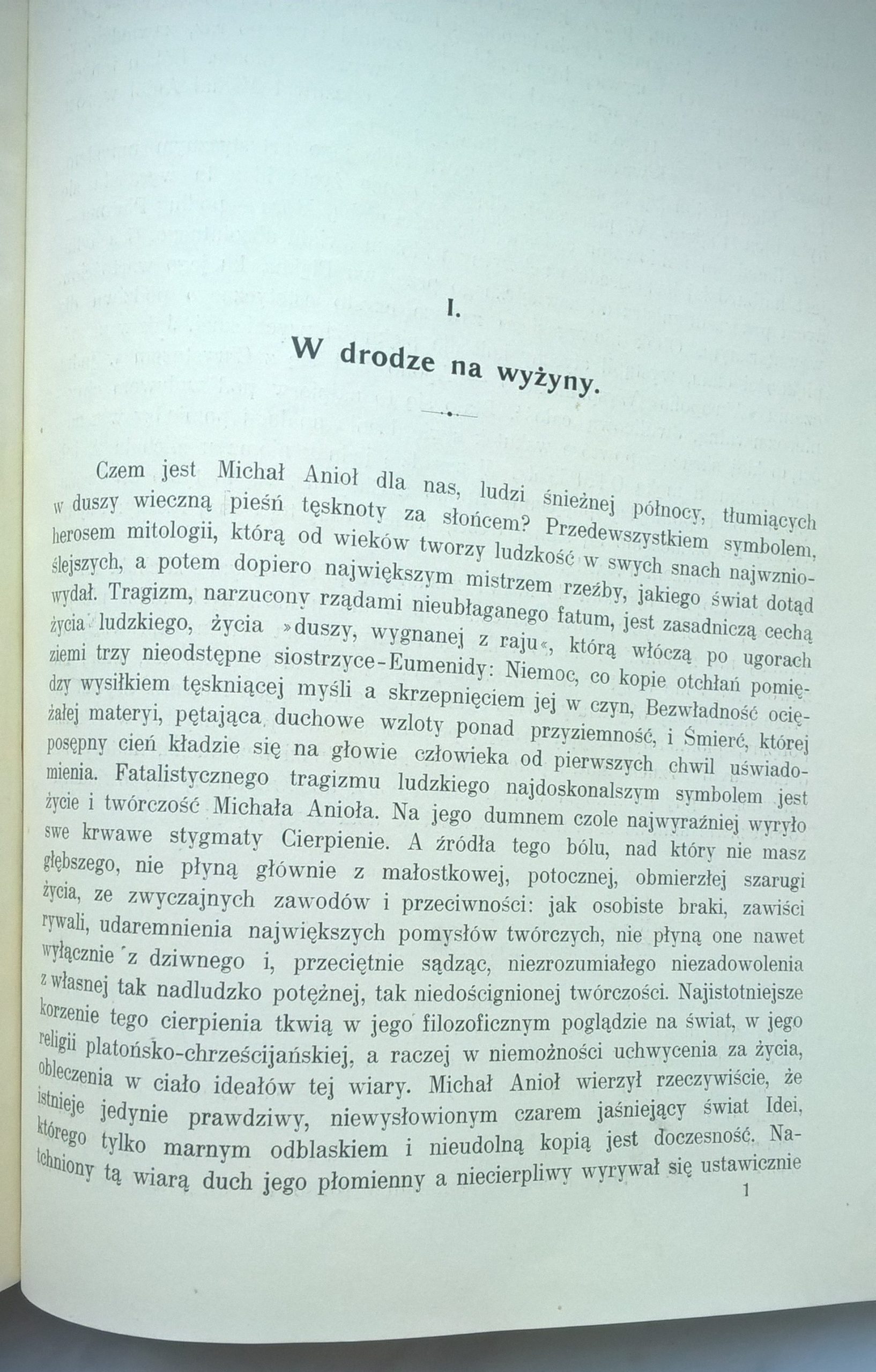 Książka "Michał Anioł" Władysław Kozicki, 1908 r.