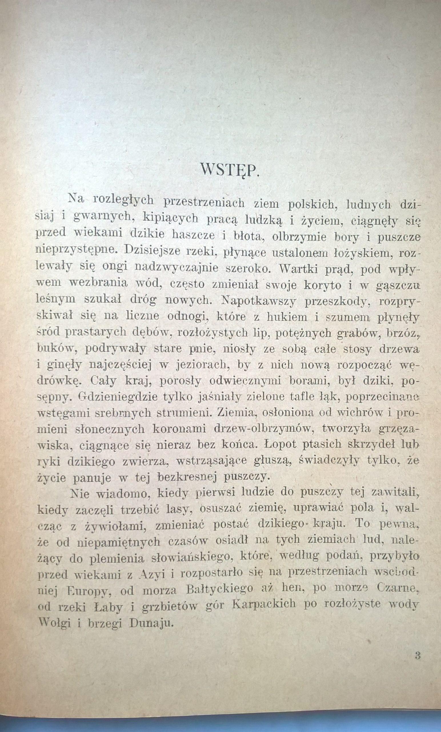 Książka "Polska Niepodległa. Opowiadania z dziejów Polski" Artur Śliwiński, 1919 r.