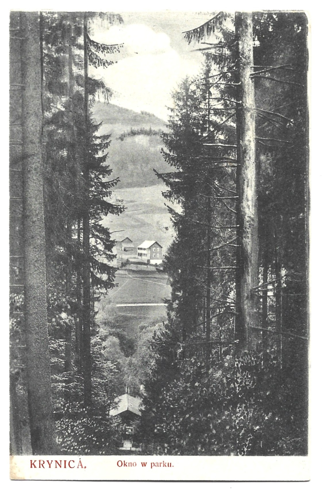 Pocztówka - Krynica. Okno w parku