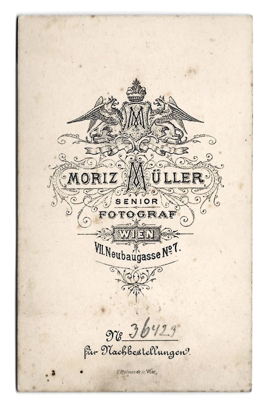 Zdjęcie portretowe mężczyzny - Wien (Wiedeń)