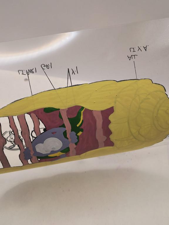 Folia animacyjna z bajki SNORKS. Robin Snork - Shorty in cage”, 1988r.