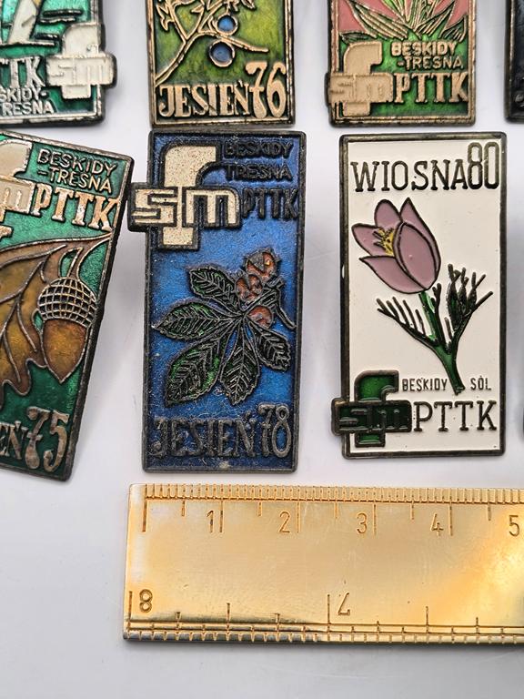 Zestaw odznak PTTK-FSM