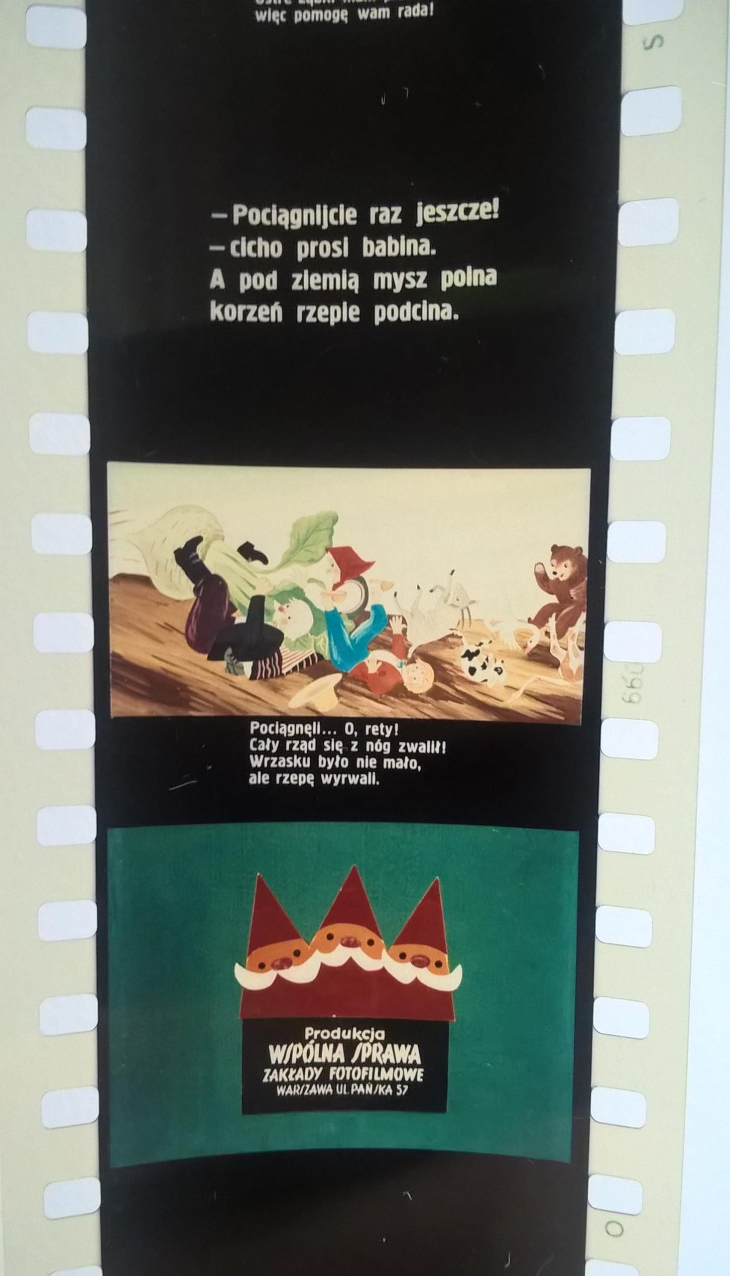 Bajka na projektor, przeźrocze "Posadził dziad rzepkę"