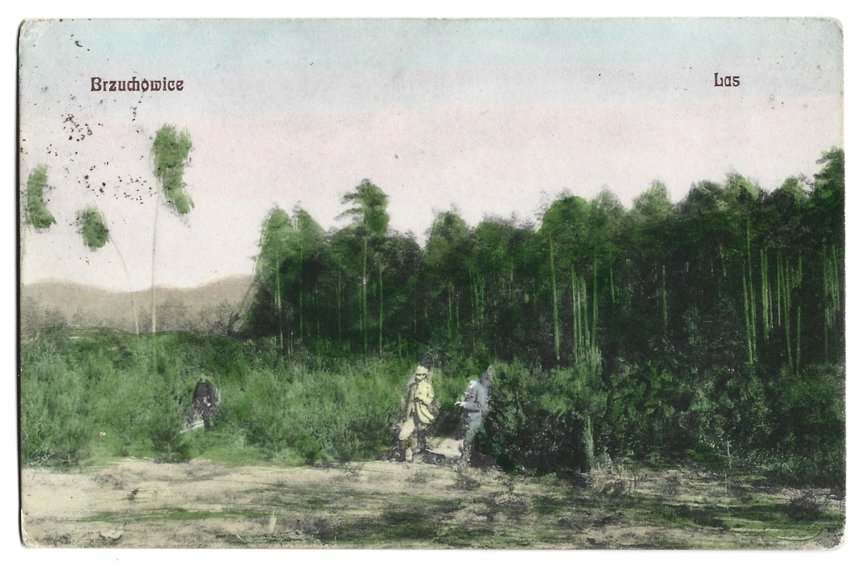 Pocztówka - Brzuchowice. Las - Kresy wschodnie