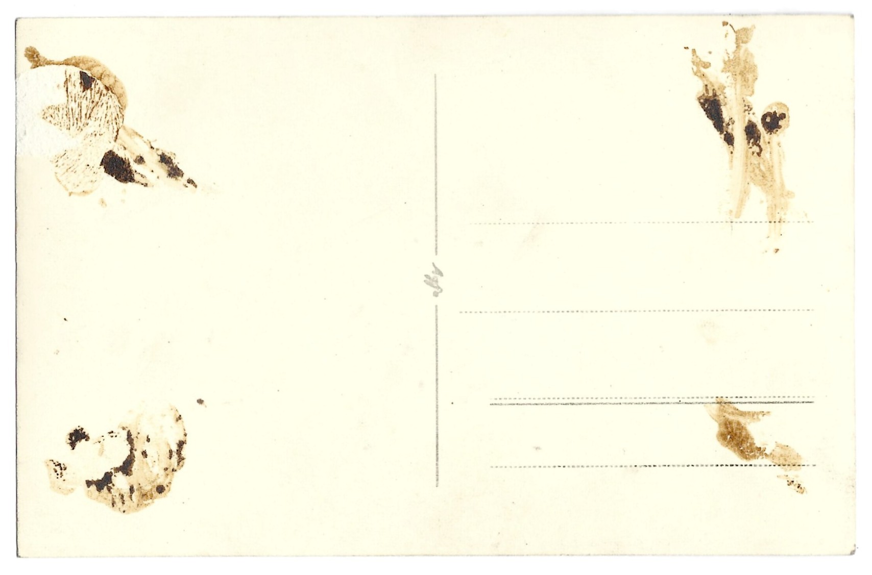 Zdjęcie portretowe kobiety w stroju cieszyńskim