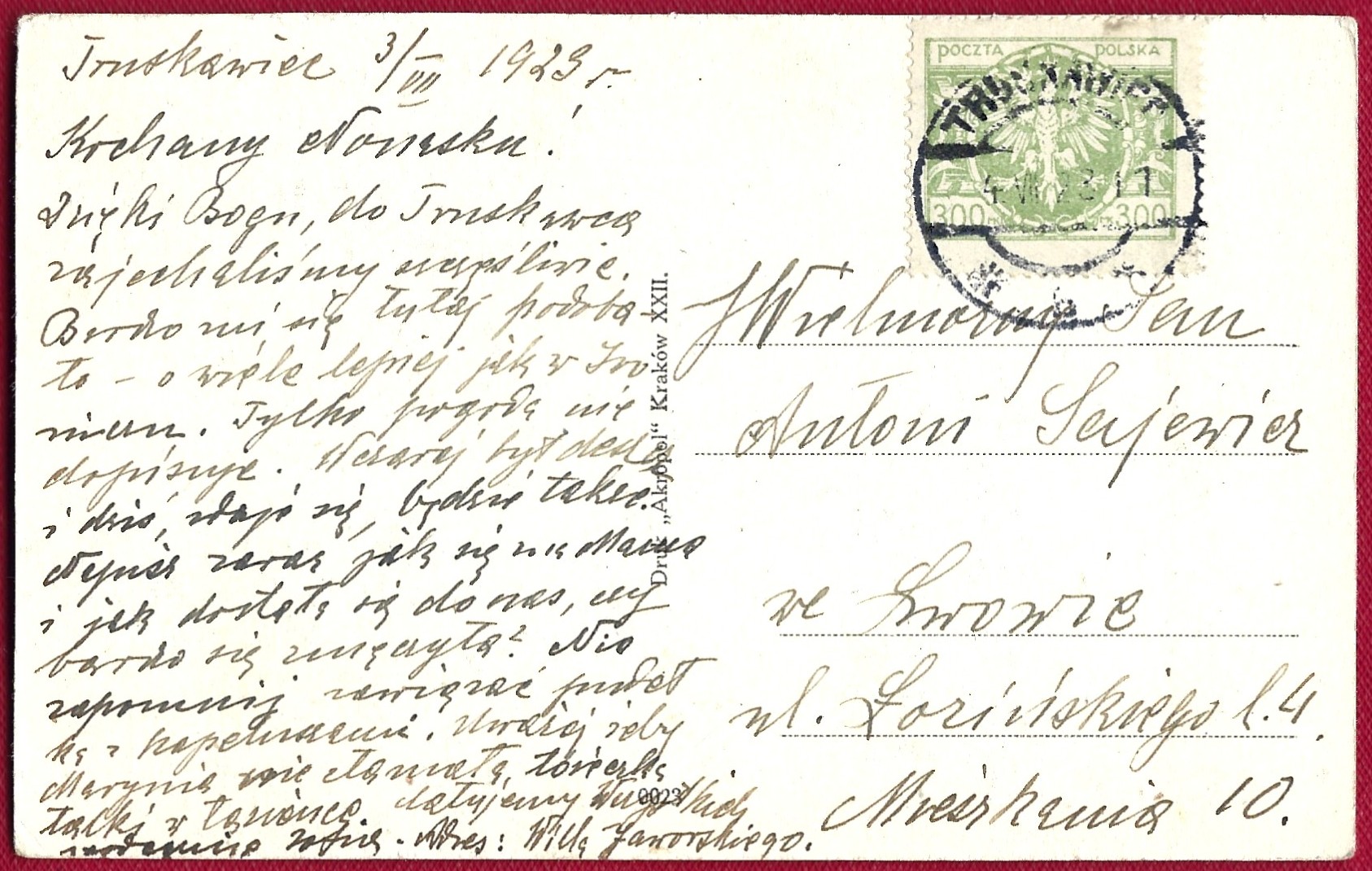 Pocztówka - Pozdrowienie z Truskawca. Park spacerowy, 1923 r. - Kresy wschodnie