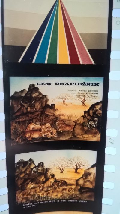 Bajka na projektor, przeźrocze "Lew drapieżnik"