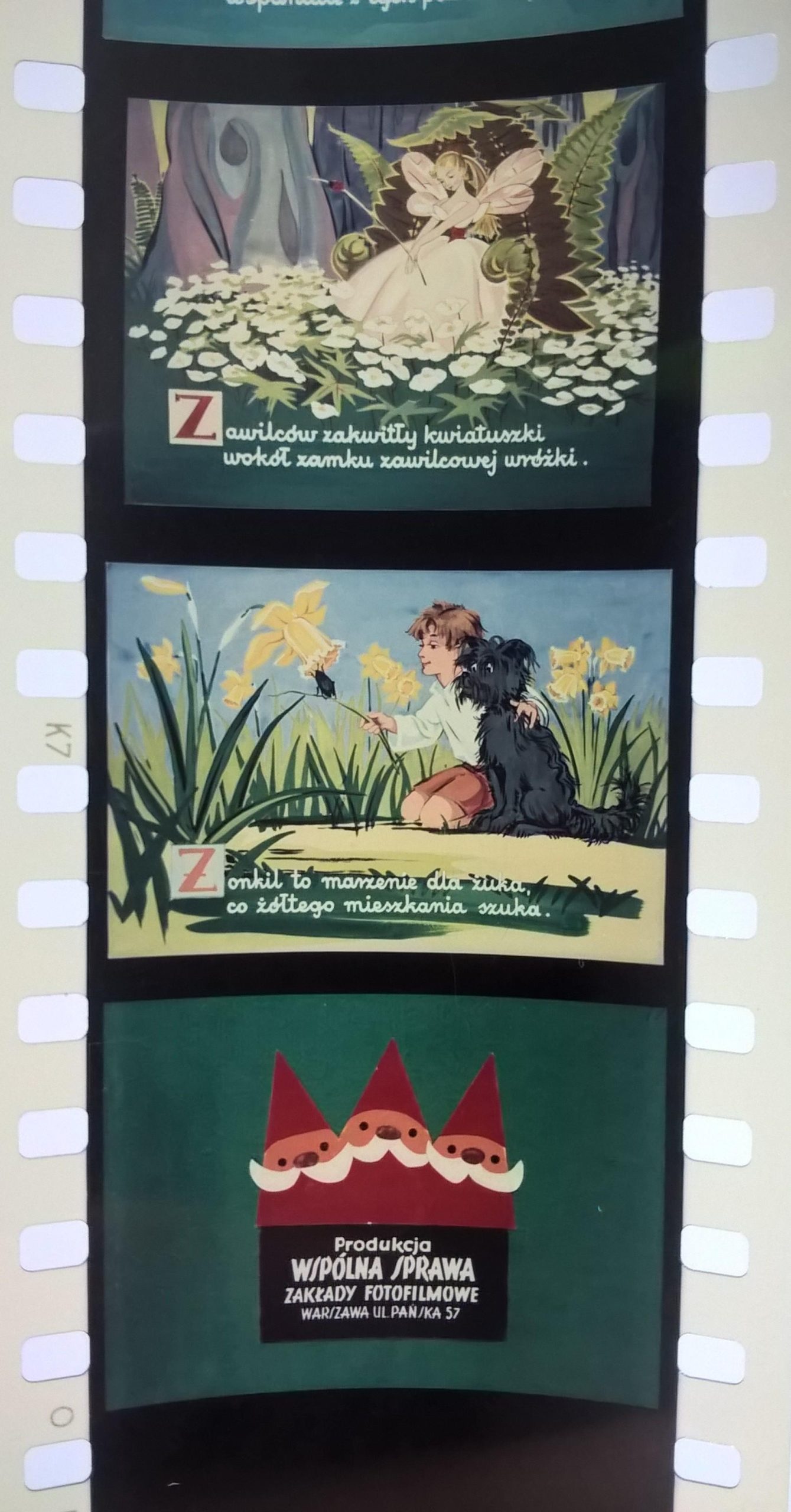 Bajka na projektor, przeźrocze "Kwiatowe abecadło"