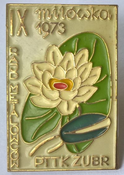 Odznaka - IX Rajd Metalowców MILÓWKA 1973 - PTTK Żubr