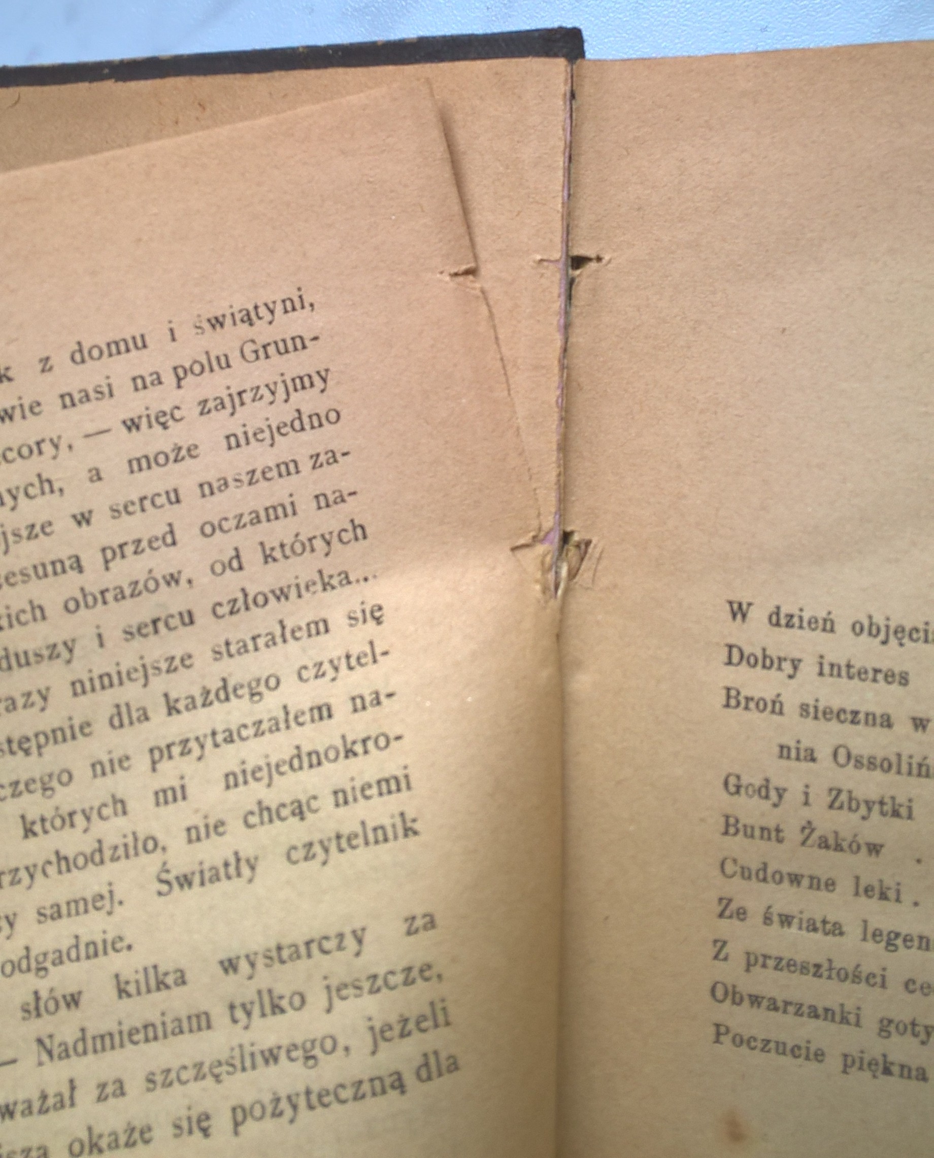 Książka "Z domu i świątyni. Szkice i obrazy z przeszłości Polski" F. K. Martynowski - Lwów, 1880 r.