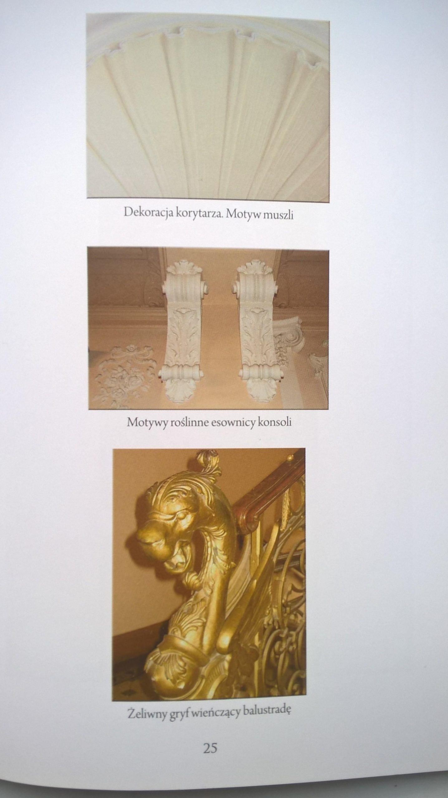Książka "Pałacyk Rosta. Intrygujące piękno detali" Anna Bojanowicz-Pollakowa, 2012 r.