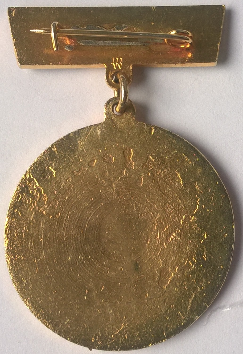 Odznaka - Zasłużonemu Działaczowi ORMO