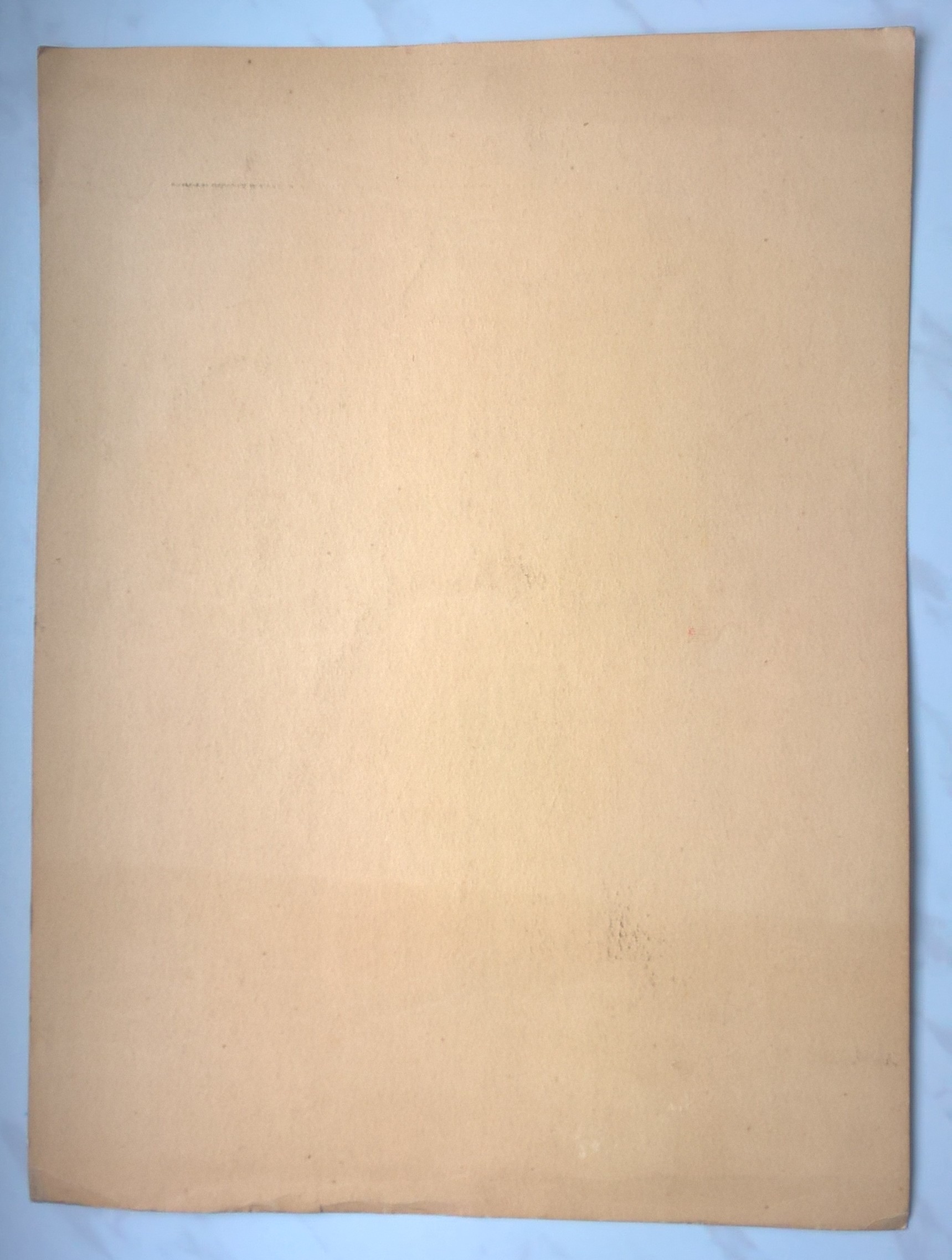 Grafika - pejzaż wiejski, bociany