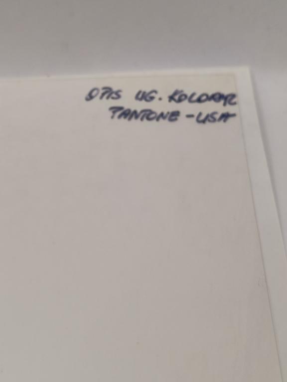 Folia animacyjna z bajki SMERFY - szablon