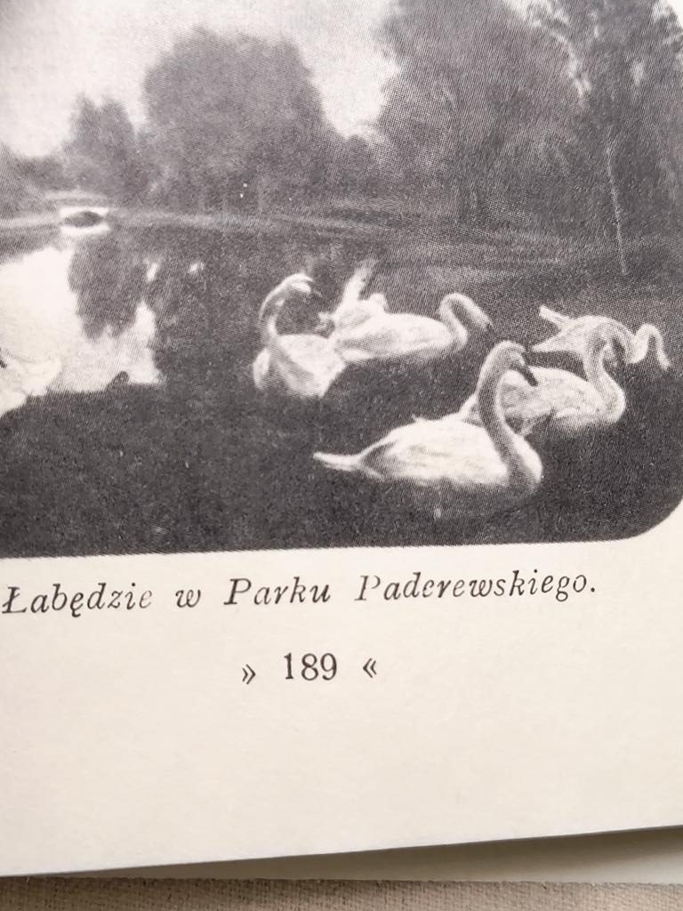 Książka "Warszawa" Aleksander Janowski, 1930 r. - reprint z 1995 r.