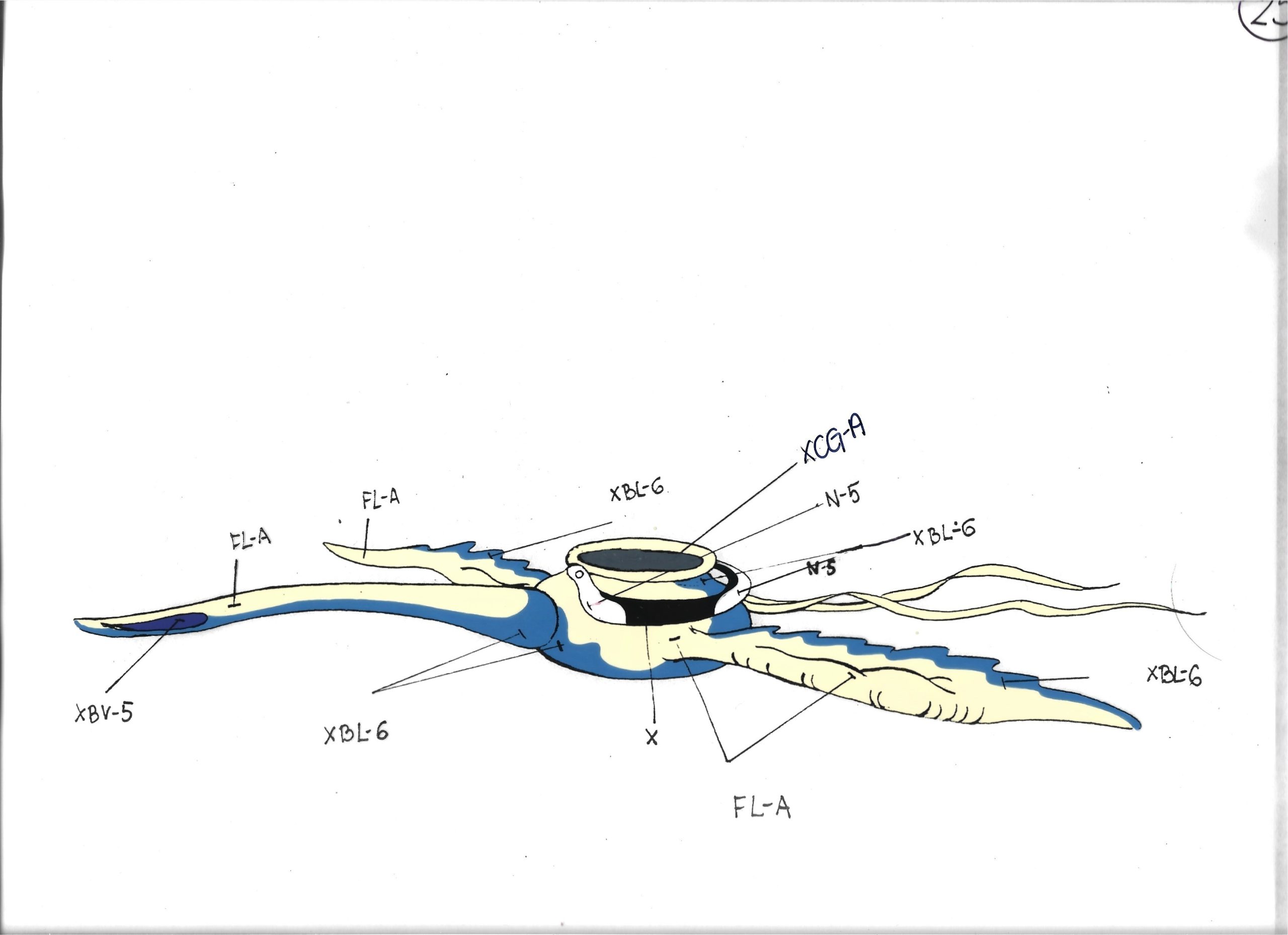Folia animacyjna z bajki ROBINSON CRUSOE