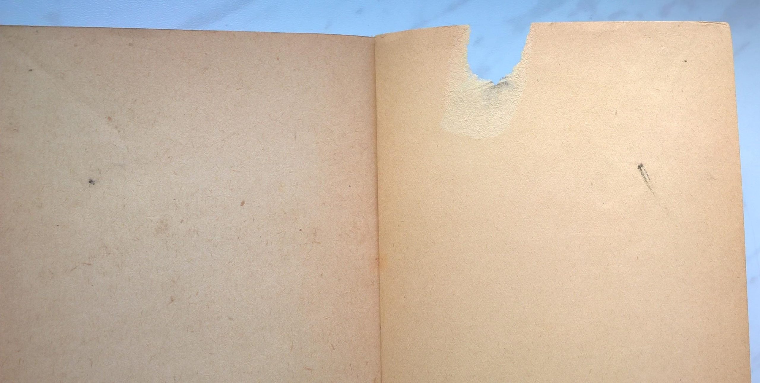 Książka "Świat na szybie okiennej" Bolesław Oskard