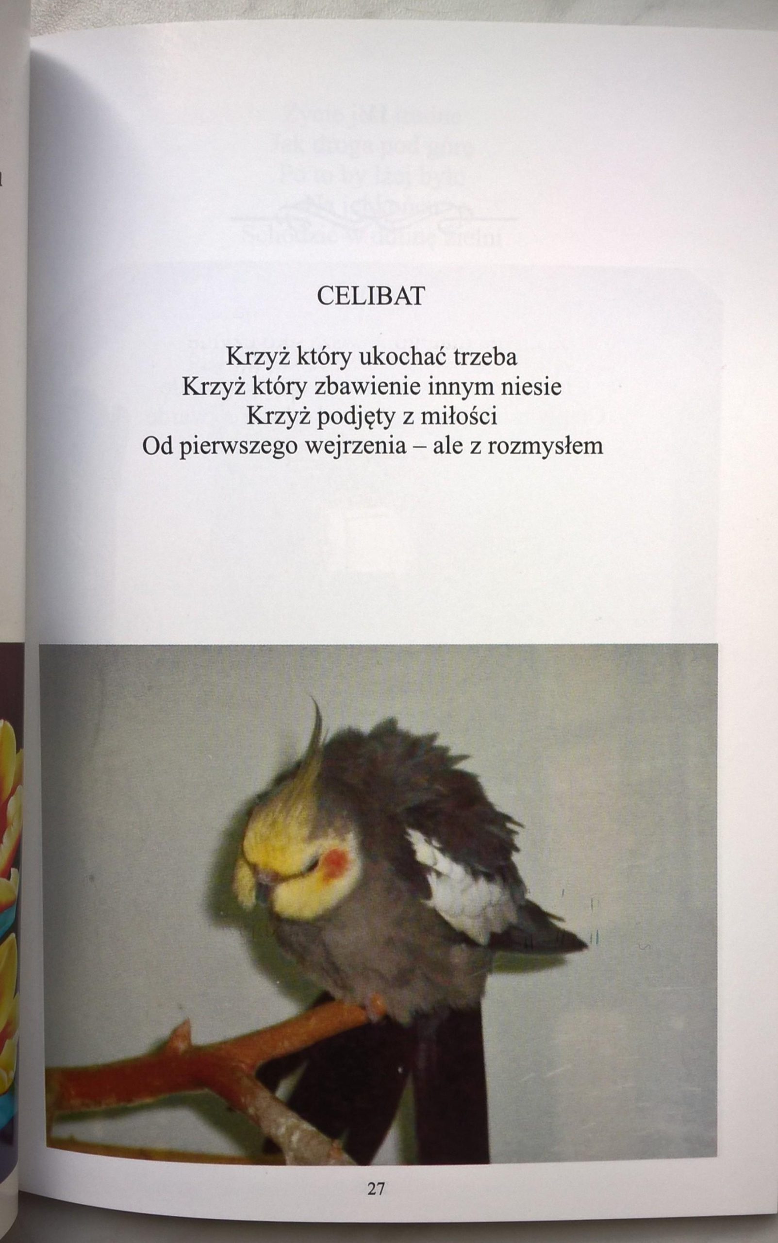 Książka "Bóg ukrył się By człowiek mógł wierzyć" ks. Mariusz Tołwiński - z dedykacją autora