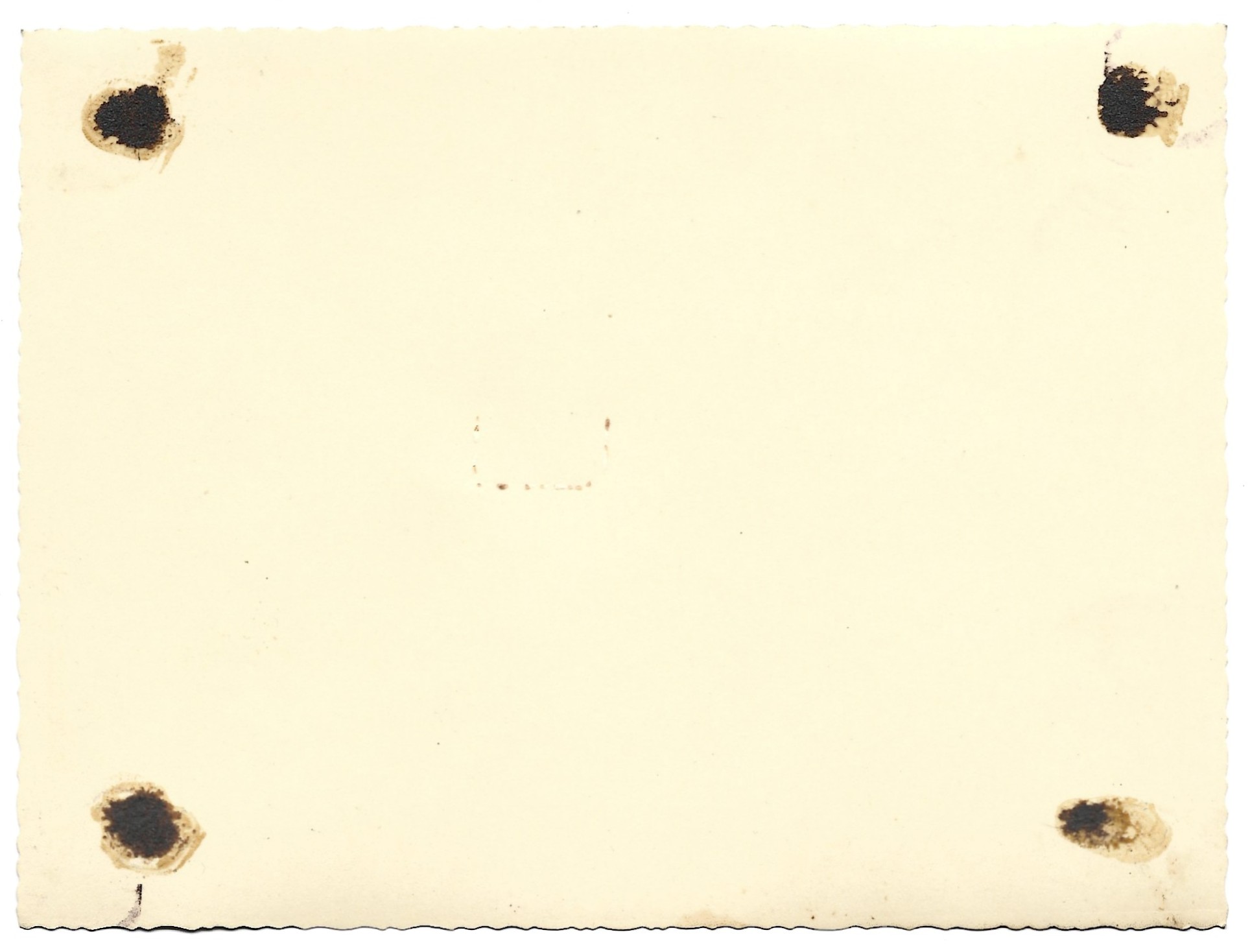 Zdjęcie ślubne - Teschen (Cieszyn)