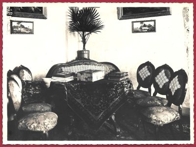 Zdjęcie – wnętrze mieszkania z palmą, 1900-1915