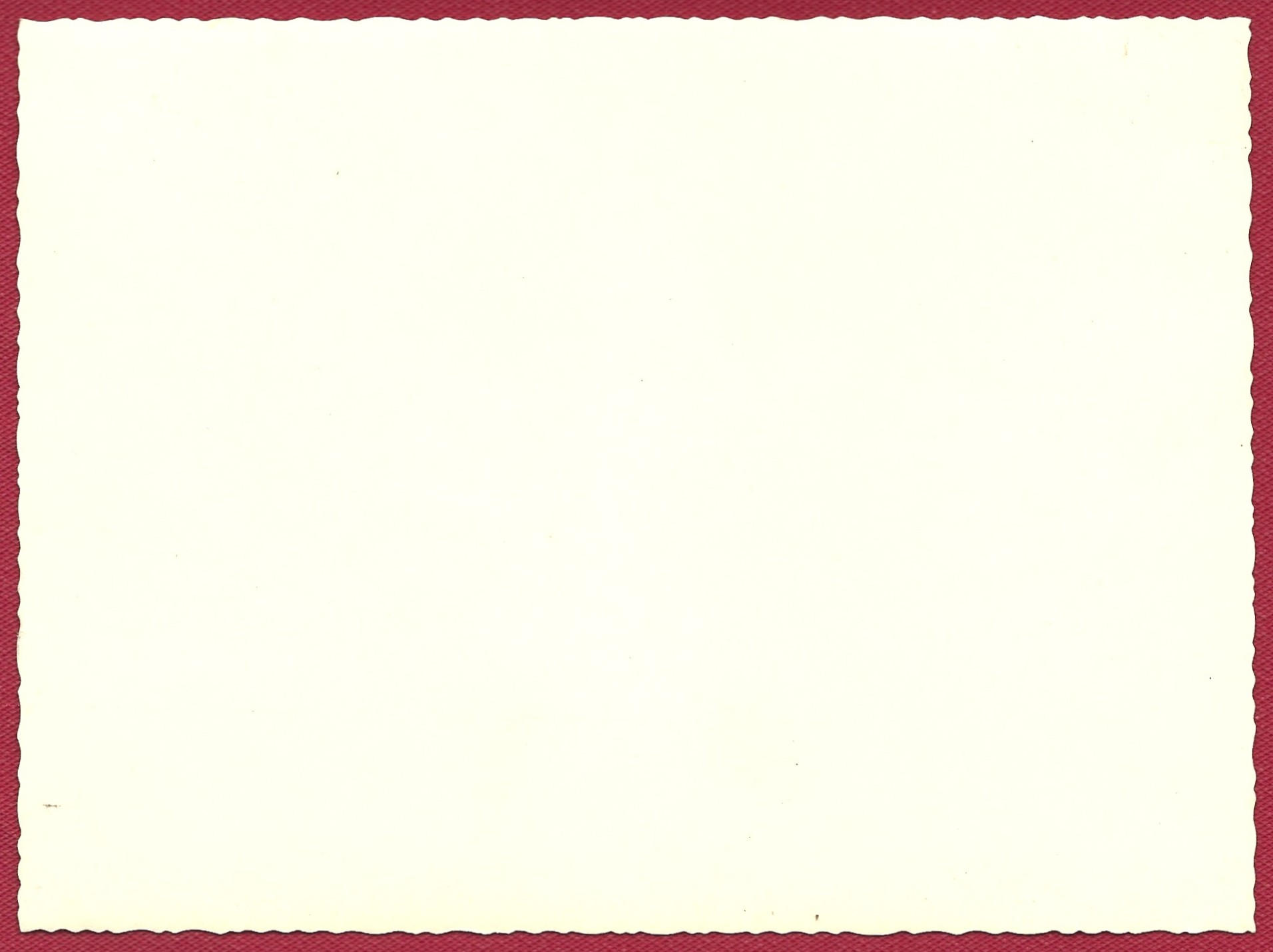 Zdjęcie – wnętrze mieszkania z palmą, 1900-1915