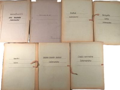 Oryginalne plany konstrukcyjne - szybowiec Salamandra 49 i 53