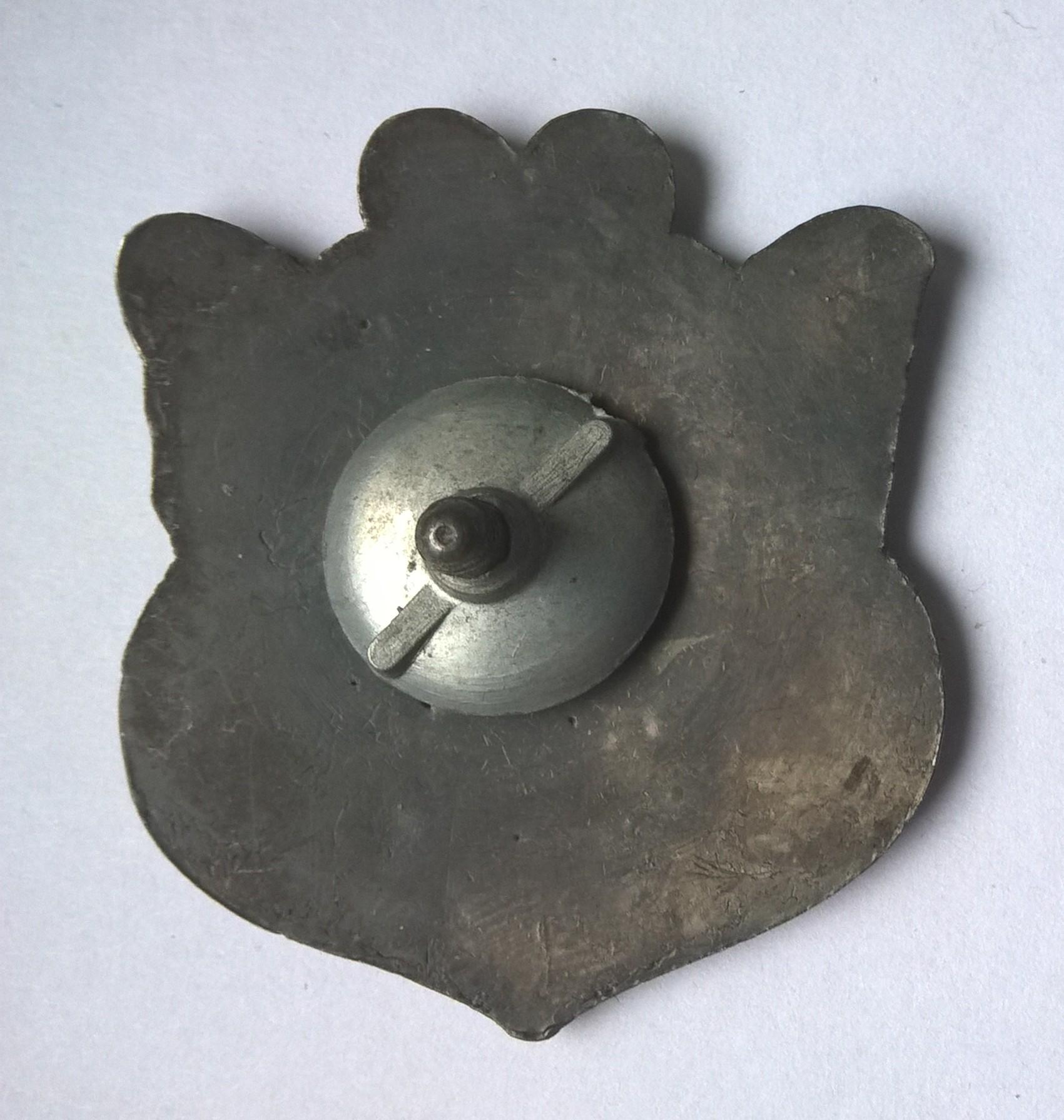 Odznaka turystyczna - IX Złaz Górski JMZN PW Katowice - WIOSNA 79 - Morpho cypris