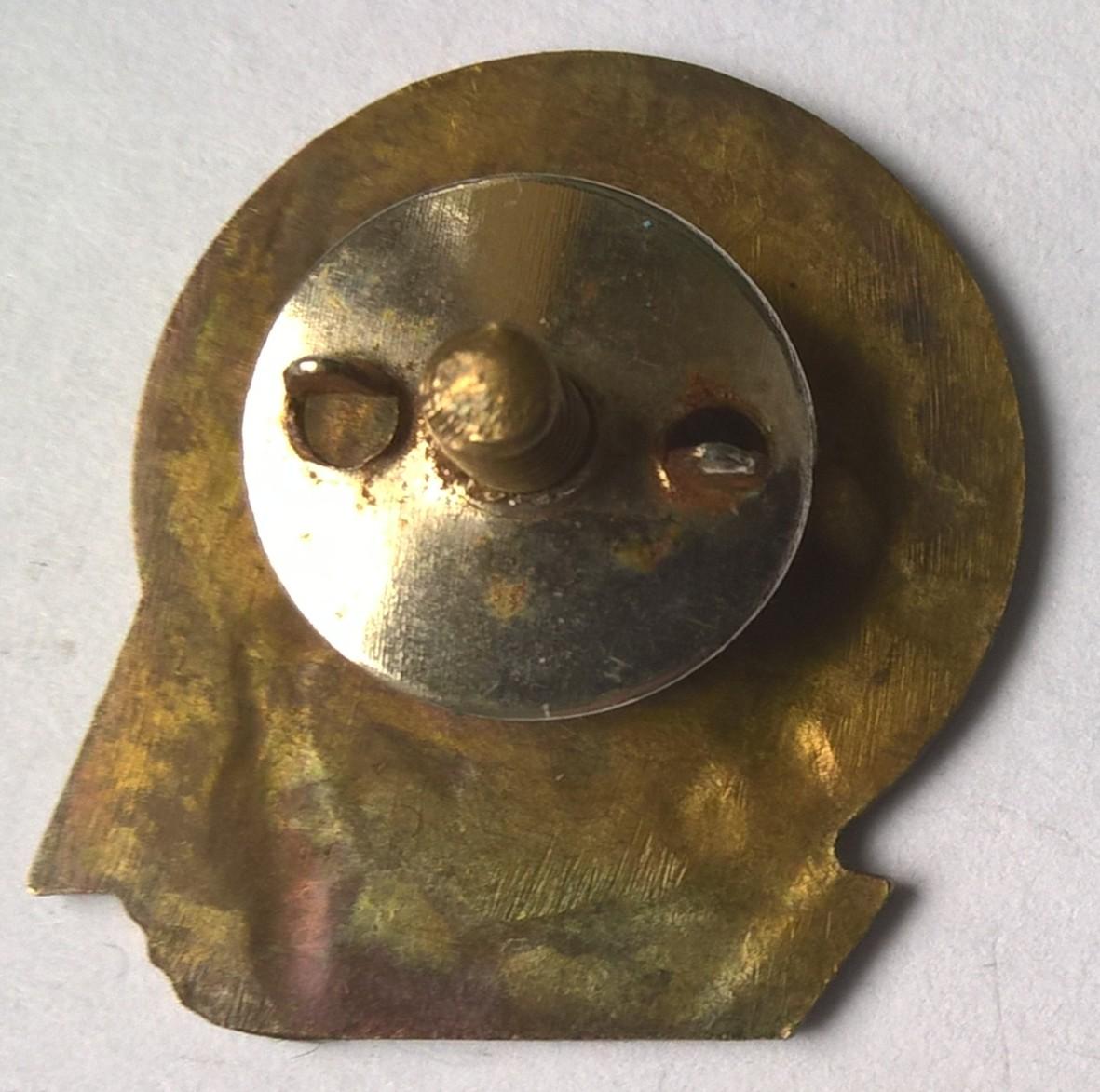 Odznaka turystyczna, żeglarska - RAJD REGATY TEST 79