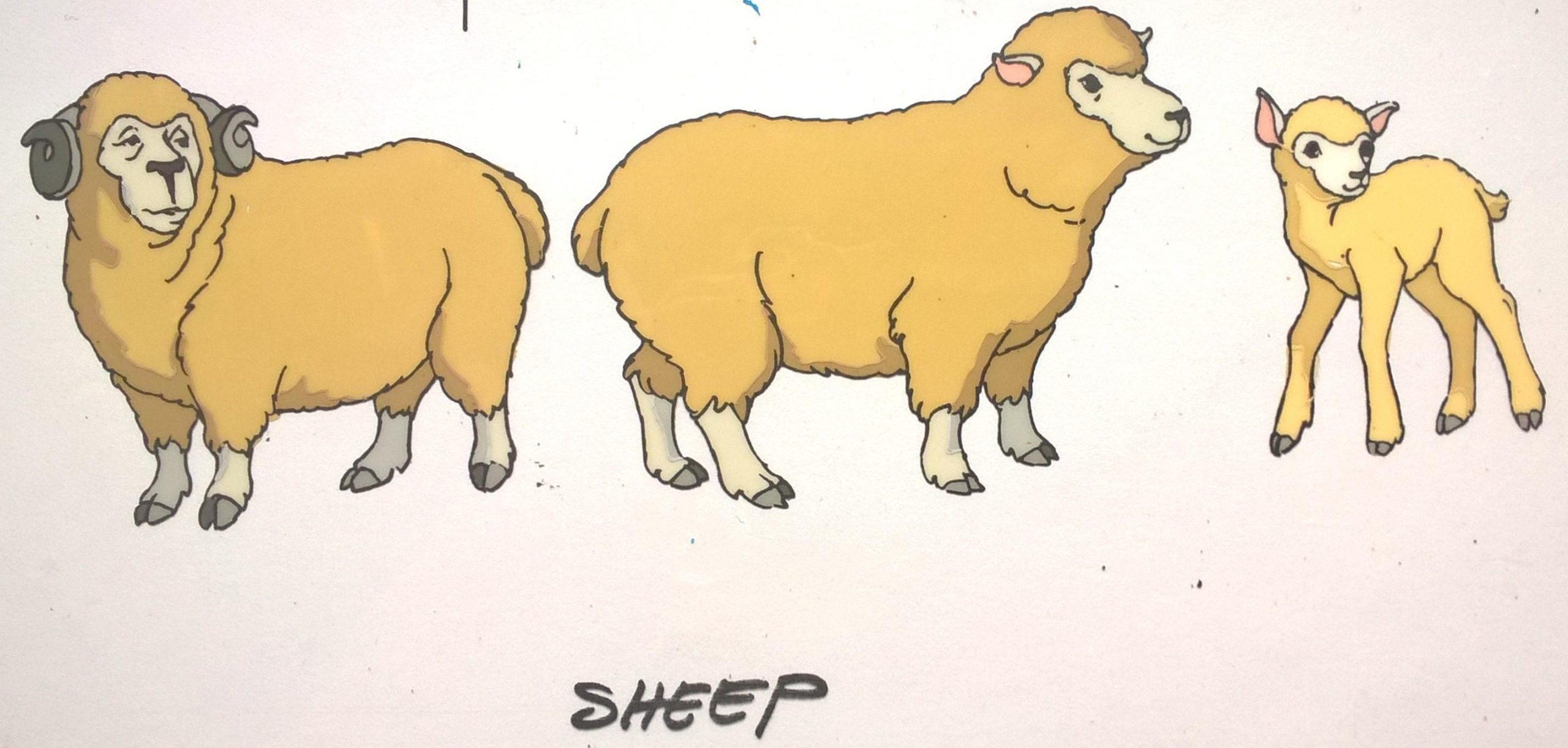 Folia animacyjna „THE BIBLE. Joseph and his brothers” SHEEP // BIBLIA. Józef i jego bracia – OWCE