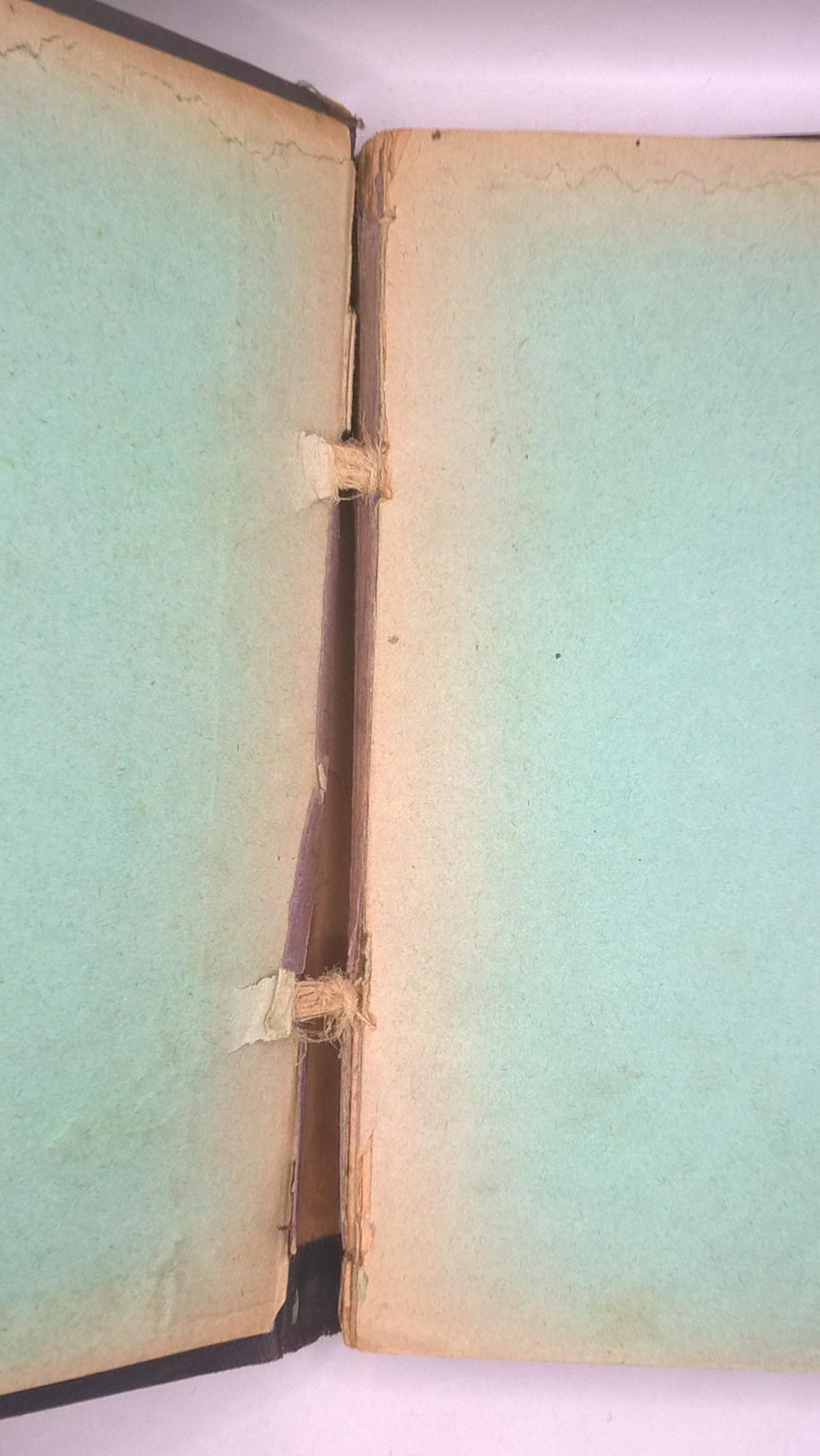 Książka "Szkice i odczyty z dziedziny biologii" Józef Nusbaum, 1900 r.