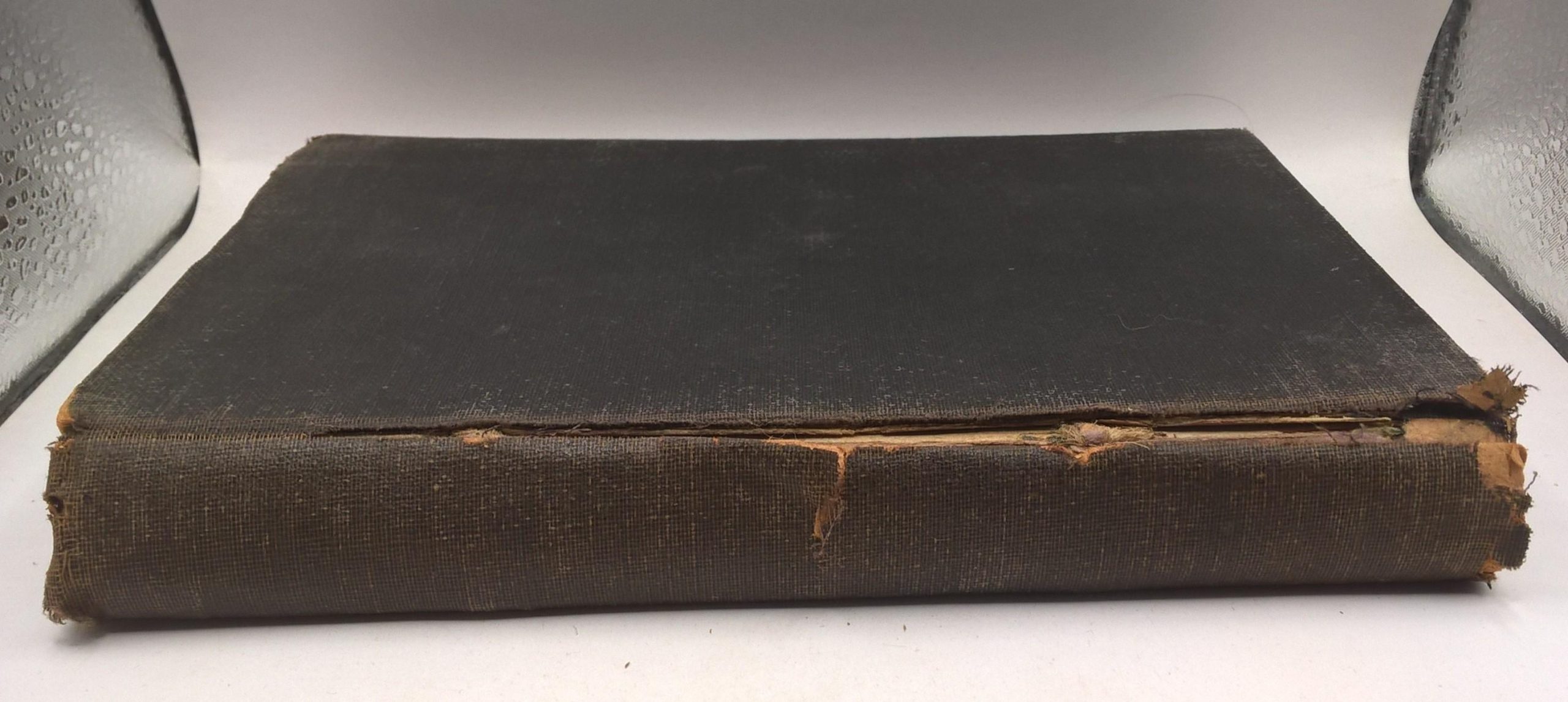 Książka "Szkice i odczyty z dziedziny biologii" Józef Nusbaum, 1900 r.