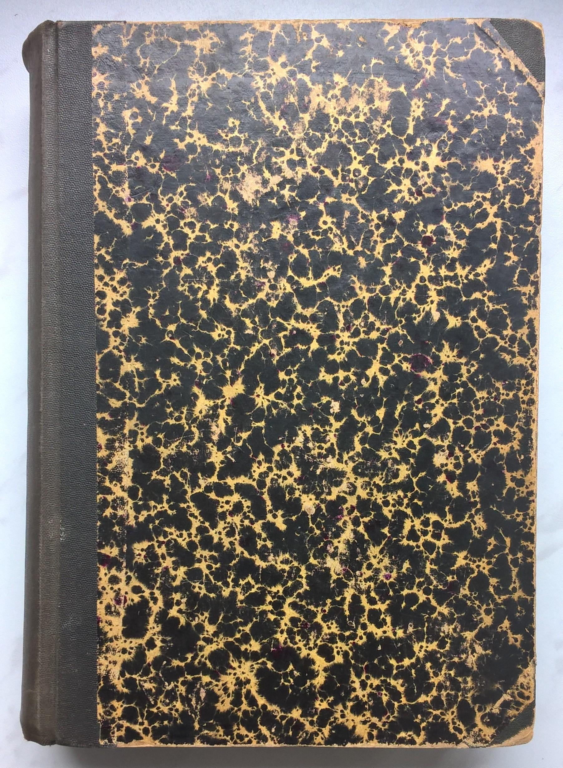 Książka "Dzieje narodu polskiego" Władysław Smoleński, 1919 r.