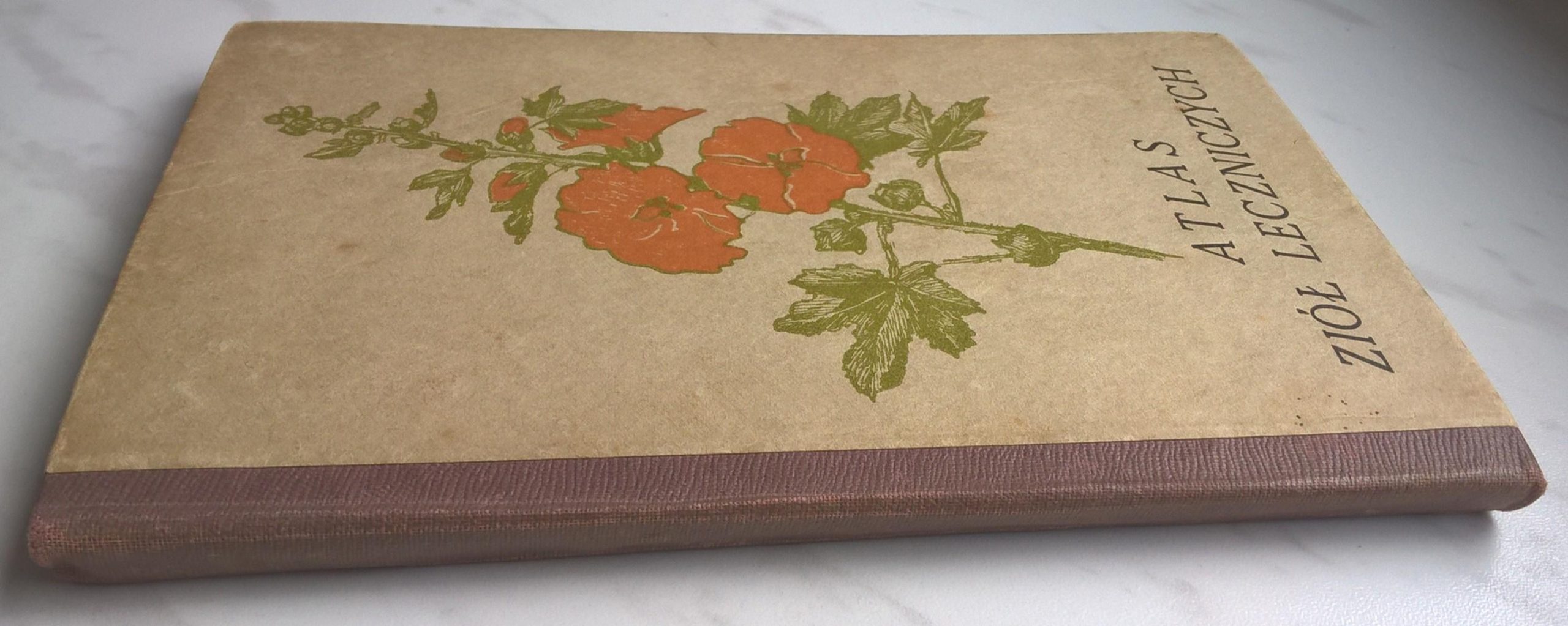 Atlas ziół leczniczych, 1925 r.