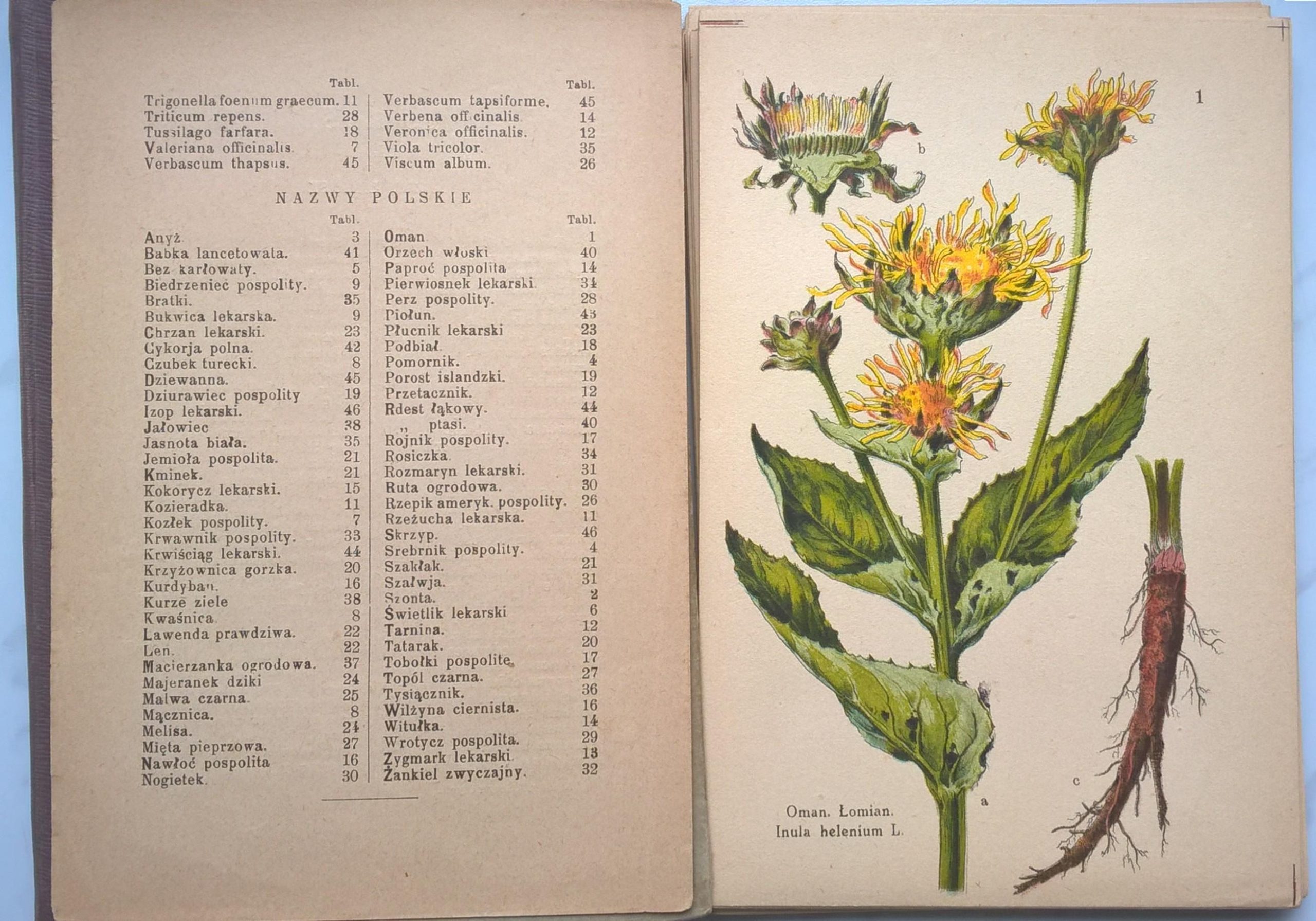 Atlas ziół leczniczych, 1925 r.