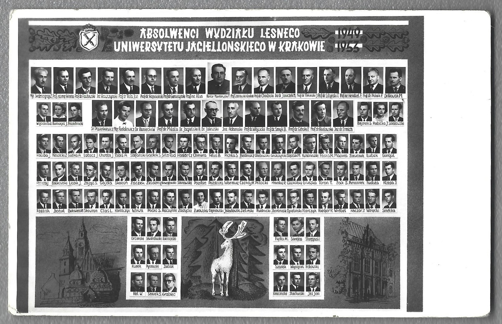 Zdjęcie - Absolwenci Wydziału Leśnego Uniwersytetu Jagiellońskiego w Krakowie 1949-1953