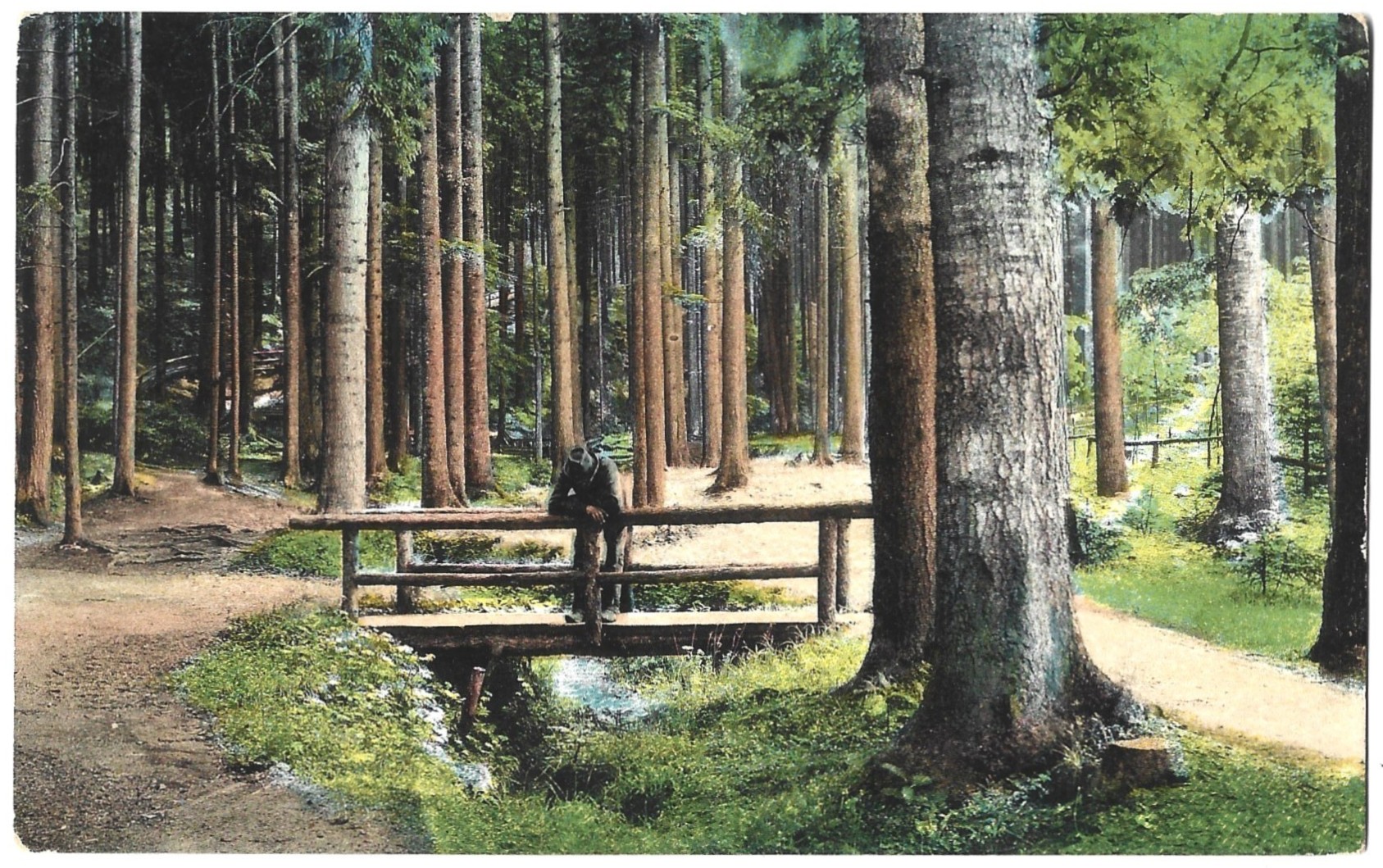 Pocztówka - Bielitz, Weg zum Jager haus  -  Bielsko, droga do leśniczówki, 1912 r.