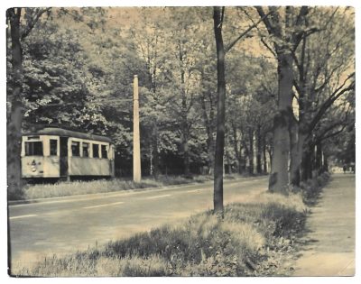 Zdjęcie - tramwaj, Bielsko-Biała - Cygański Las