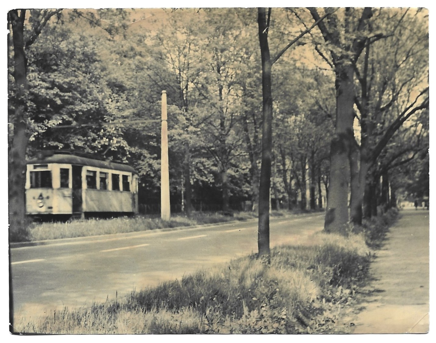 Zdjęcie - tramwaj, Bielsko-Biała - Cygański Las