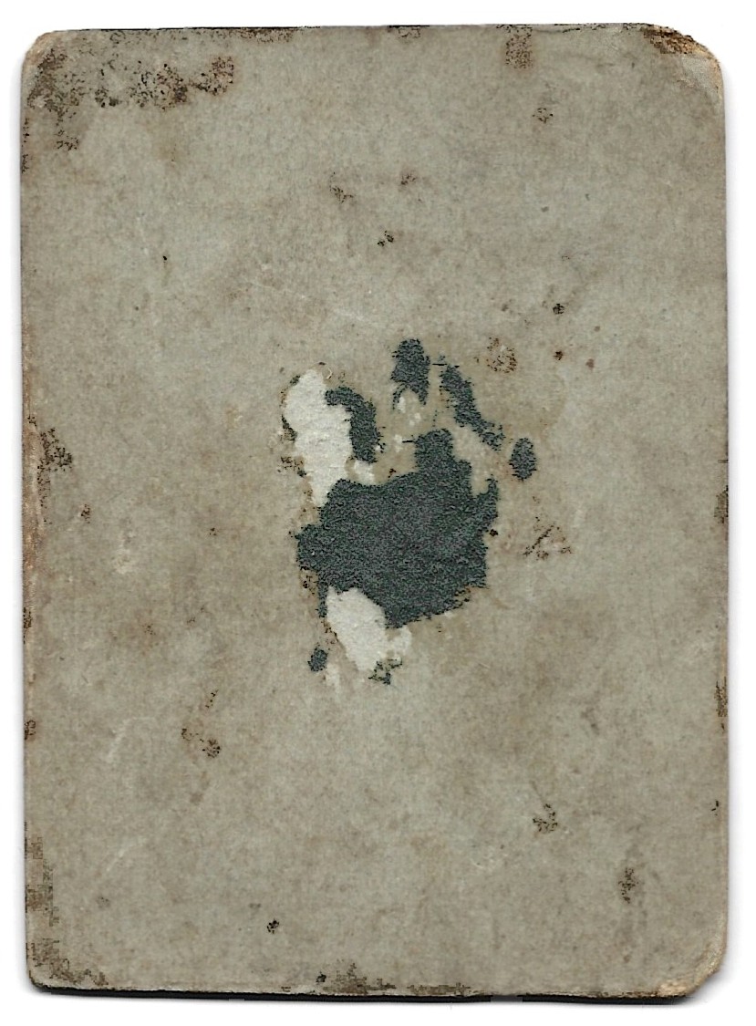 Zdjęcie portretowe żołnierza