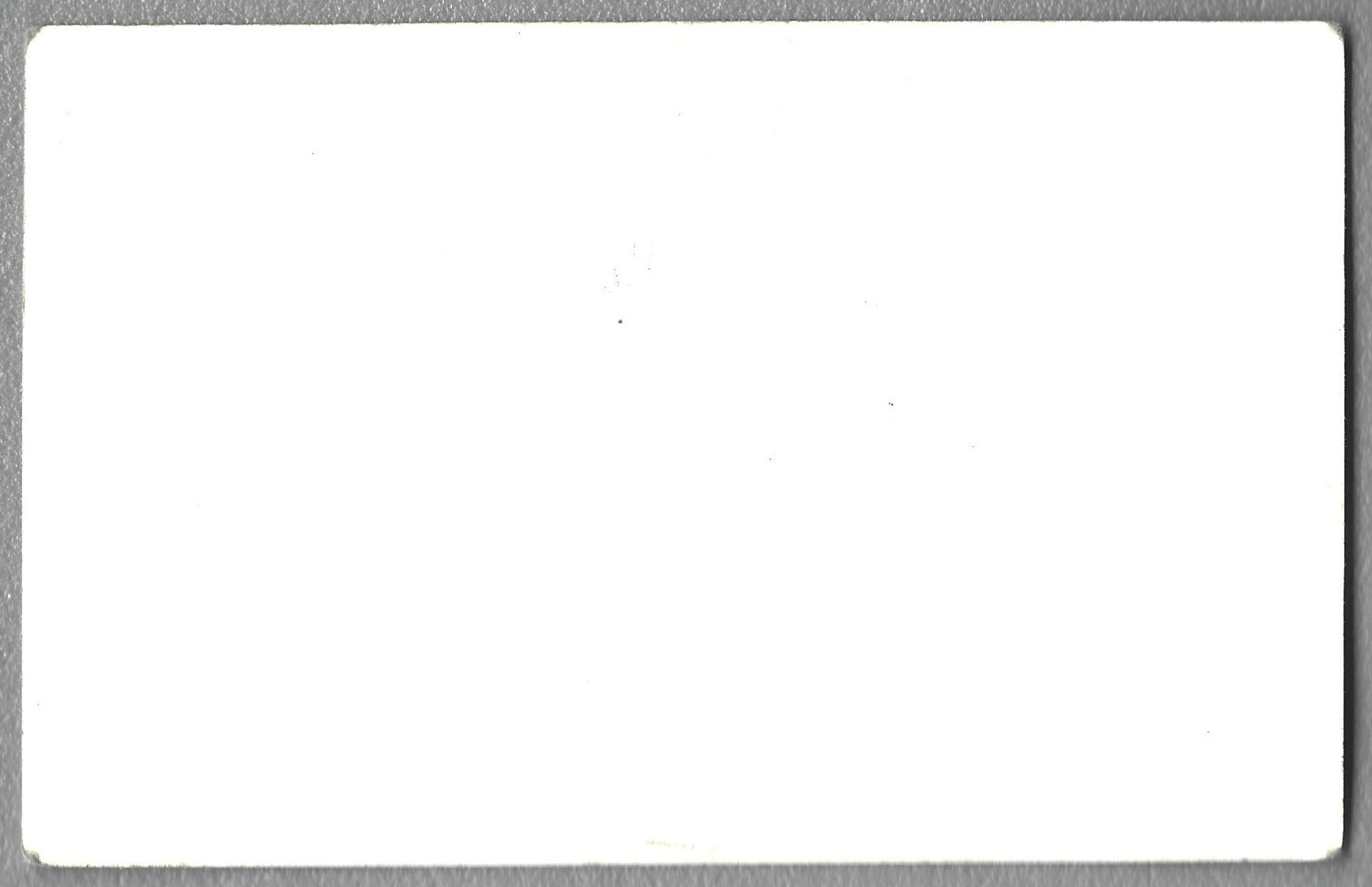 Zdjęcie - Absolwenci Wydziału Leśnego Uniwersytetu Jagiellońskiego w Krakowie 1949-1953