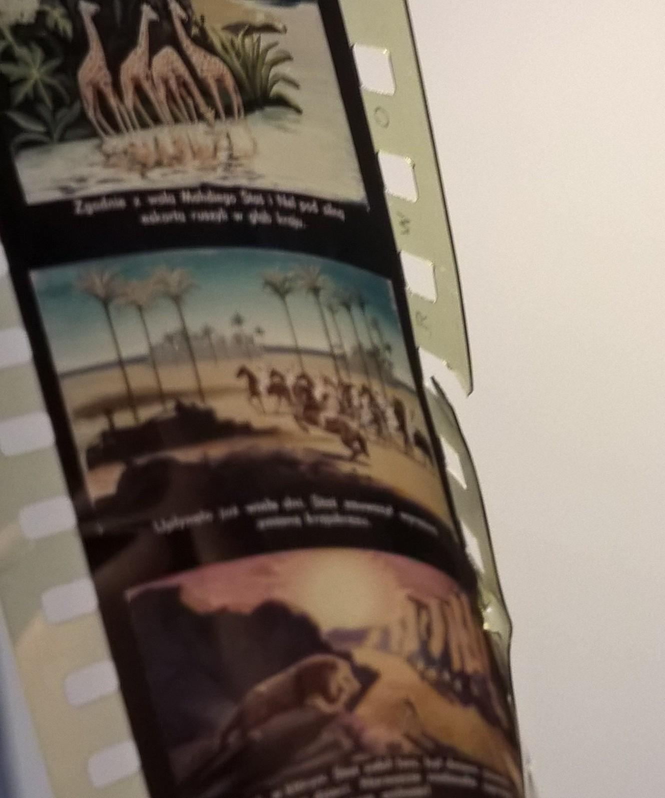 Bajka na projektor – przeźrocze „W pustyni i w puszczy” wg Henryka Sienkiewicza, II części [28,29]