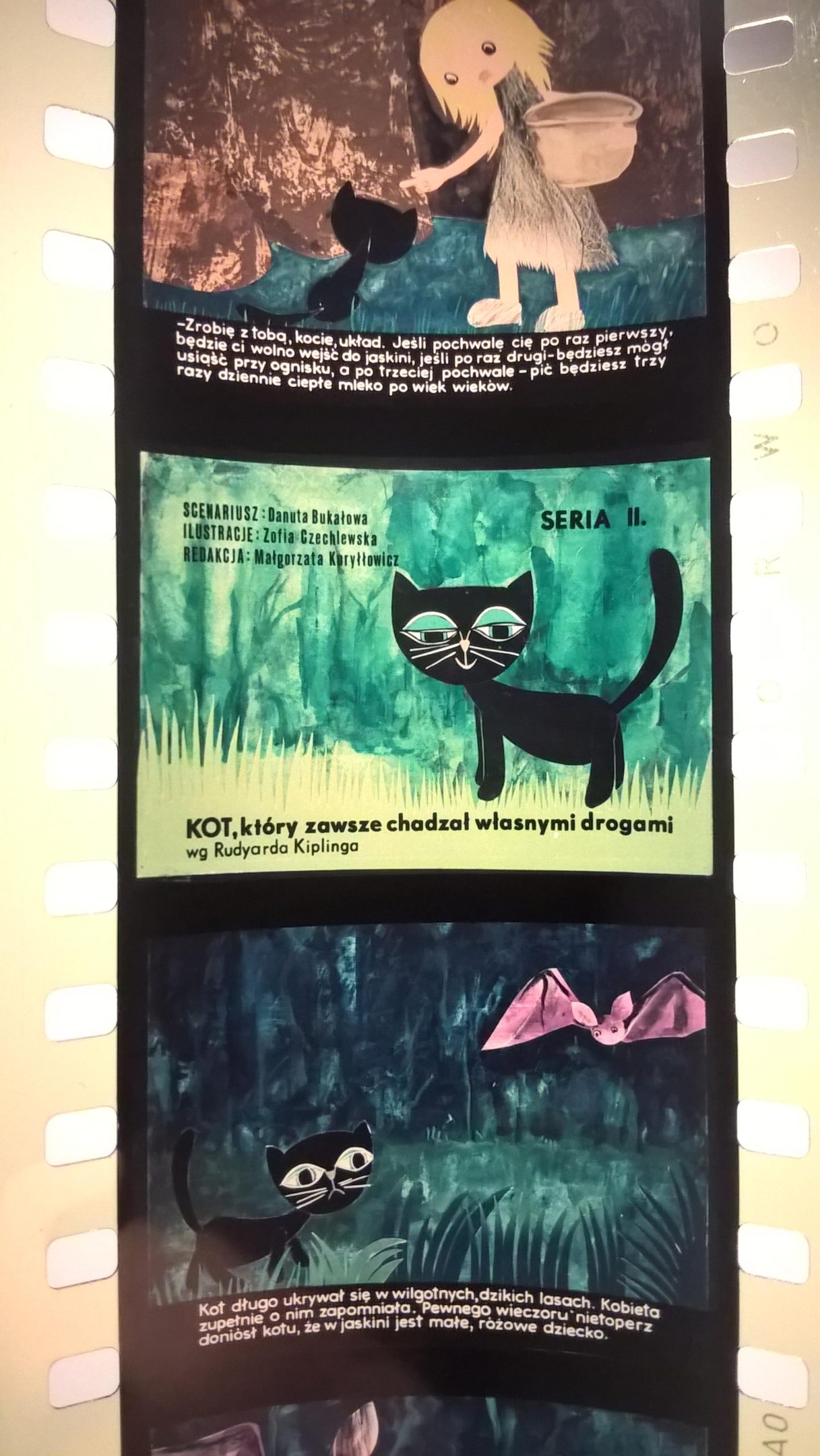 Bajka na projektor, przeźrocze – „KOT, który zawsze chadzał własnymi drogami” wg Rudyarda Kiplinga - II części [57]