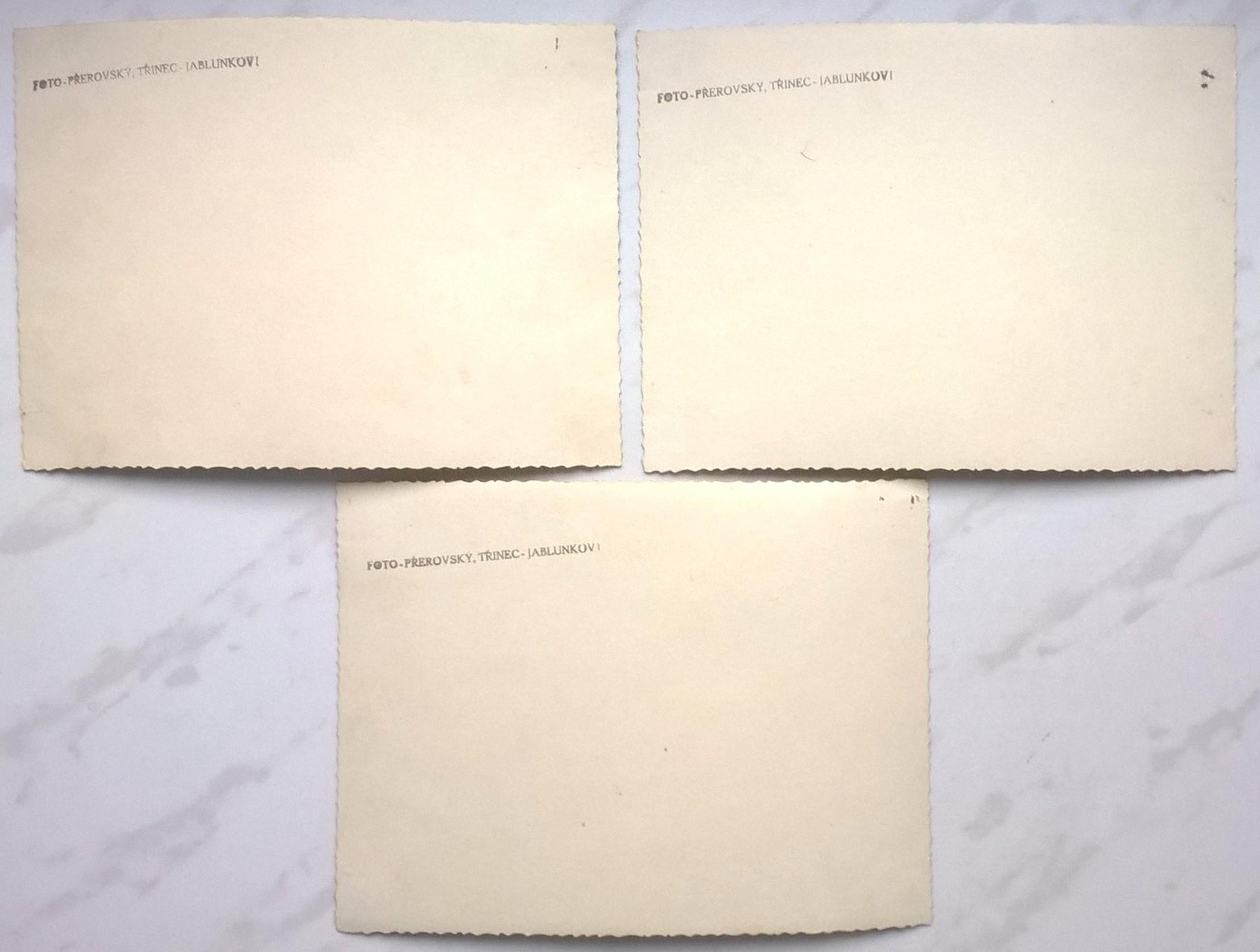 Zestaw zdjęć (3 szt.) – wnętrze mieszkania - salon, 1900-1915 - FOTO PREROVSKY, TRINEC-JABLUNKOV (Trzyniec-Jabłonków)