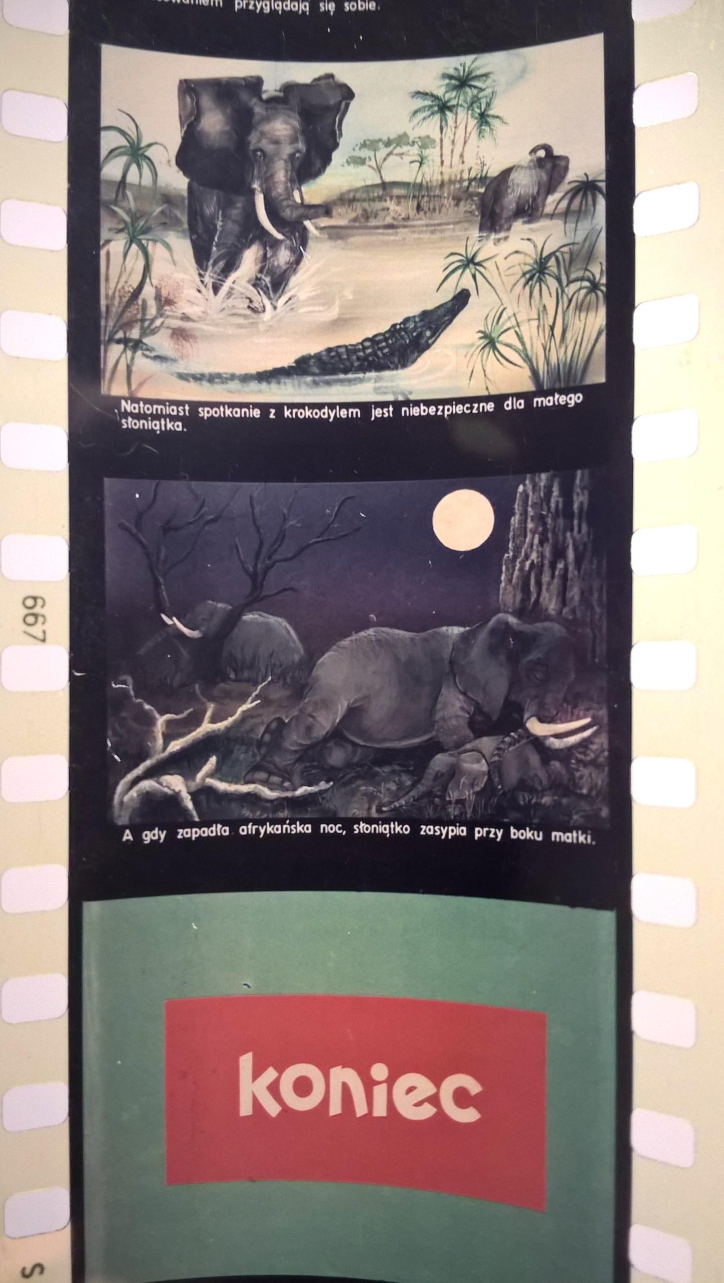 Bajka na projektor – przeźrocze „PRZYGODY MAŁEGO SŁONIA” [146]