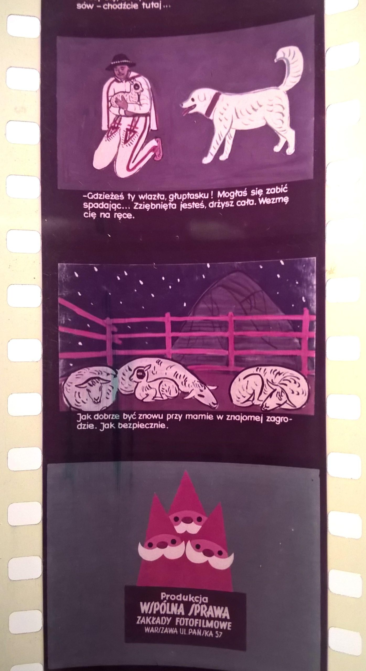 Bajka na projektor – przeźrocze „PRZYGODA OWIECZKI” [22]