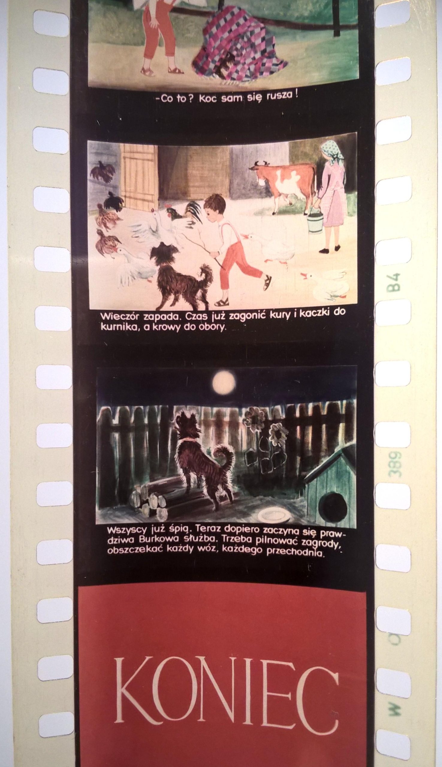 Bajka na projektor – przeźrocze „PRACOWITY DZIEŃ BURKA” [51]